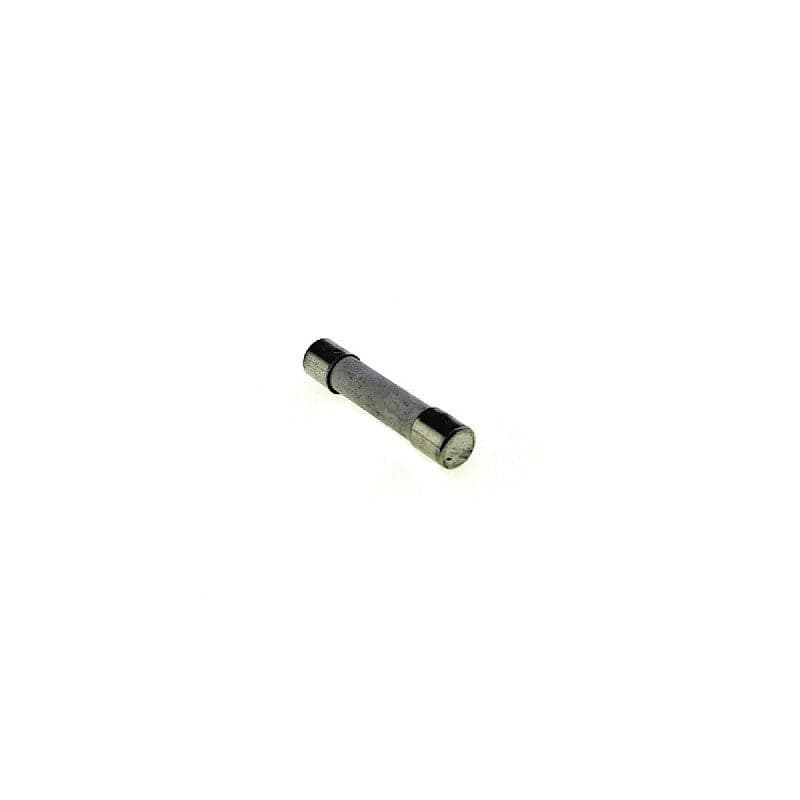 Microwave Fuse Fusibile 20A